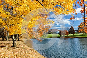 Sunny Autumn Landscape Surrounding Park Pond