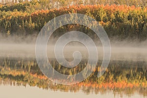Sunny Autumn morning mist at the lake