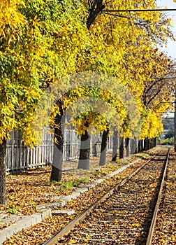 Sunny autumn near a railroad