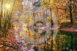 Sunny autumn park with yellow and red tree reflections in water with sunset light leak