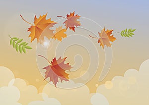 Sunny autumn sky with falling leaves vector
