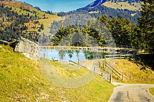 Sunny Autumn in SÃ¶renberg, Swiss Alps