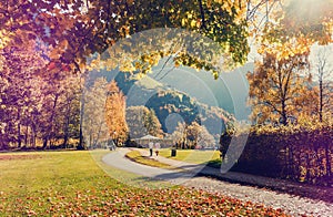 Sunny Autumn View. Park at the Zell lake. Austria