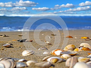 Sunny beach background