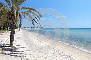 Sunny beach at Chalkidiki in Greece photo