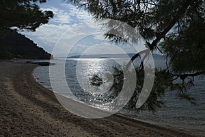 Sunny beach, close up on sand