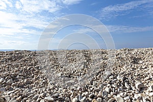 Sunny beach, close up on sand