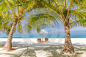 Sunny beach getaway couple destination scenic, honeymoon panoramic wallpaper. Palm tree idyllic sky sea sand