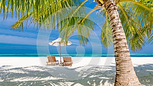 Sunny beach getaway couple destination scenic, honeymoon panoramic wallpaper. Palm tree idyllic sky sea sand