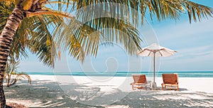 Sunny beach getaway couple destination scenic, honeymoon panoramic wallpaper. Palm tree idyllic sky sea sand