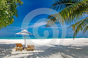 Sunny beach getaway couple destination scenic, honeymoon wallpaper. Palm tree idyllic sky sea sand