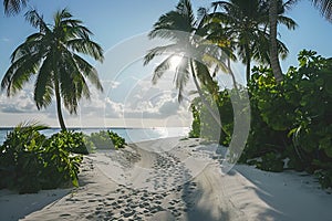 Sunny beach in the Maldives. Palm trees, white sand, ocean.