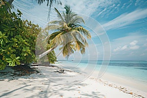 Sunny beach in the Maldives. Palm trees, white sand, ocean.