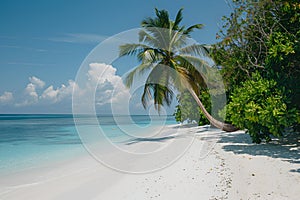 Sunny beach in the Maldives. Palm trees, white sand, ocean.