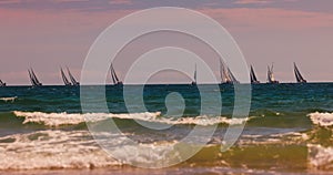 Sunny beach morning and sailing boats and yachts in regatta racing in the sea. Yachting competition 4K video
