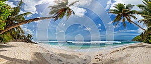 Sunny beach with palms and turquoise sea.