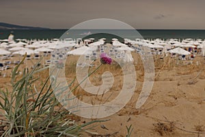 Sunny beach resort before the storm. Bulgaria