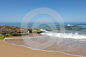 Sunny Beach with Rocks and Algae