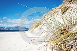 Sunny beach with sand dunes, tall grass and blue sky.