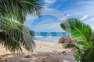 Sunny beach with white sand, coconut palm trees and turquoise ocean in paradise island