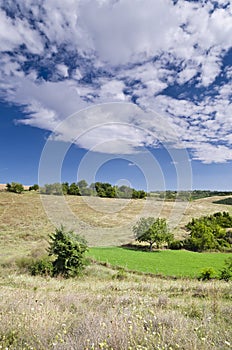 Sunny Blue Sky, Meadow and hills