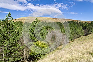 Sunny Blue Sky, Meadow and hills