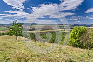 Sunny Blue Sky, Meadow and a tree