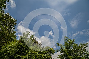 Sunny blue sky with soft clouds and bright sun against trees foreground