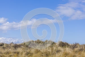 Sunny blue spring time sky and grassy hill