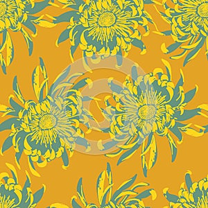 Sunny Chrysanthemum flower heads Seamless Pattern. Full Bloom Design