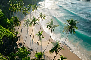 Sunny coast in Bali. Palm trees, sea, sand. Bird\'s eye view