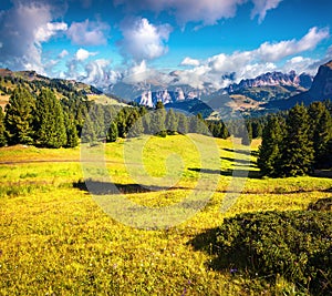 Sunny countryside scene in the Gardena valley.