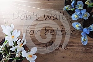 Sunny Crocus And Hyacinth, Quote Dont Wait For Better Time