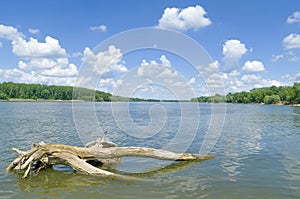 Sunny Danube Riverscape photo