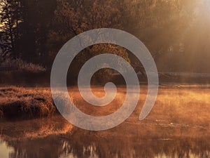 Sunny dawn on a foggy swamp. Evening sun rays on the dry grass growing in the swamp