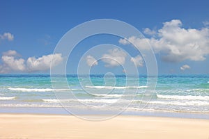 Sunny day at the beach with bright blue sky and fluffy white cloud on the sea horizon with copy space