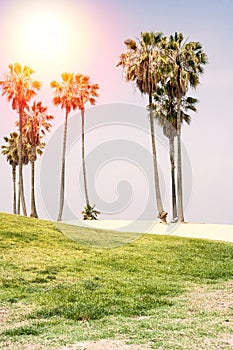 Sunny day on the beach of Venice, California. Background. photo