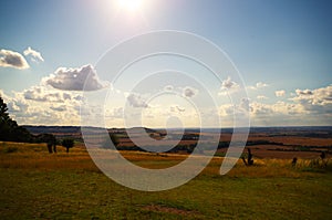 Sunny Day in Bedfordshire