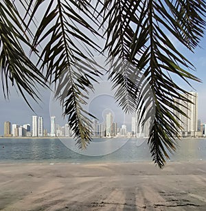 A sunny day on the city beach through the shadowing palm tree leaves photo