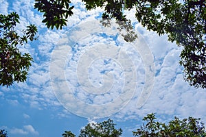 Sunny day blue sky with scattered white partly clouds with the frame of forest tree branches and leaves