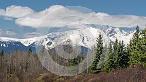 Sunny Day in the Bulkley Valley BC, Canada