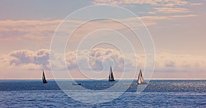 Sunny day and calm ocean waves and sailing wind boats in the sea for regatta competition