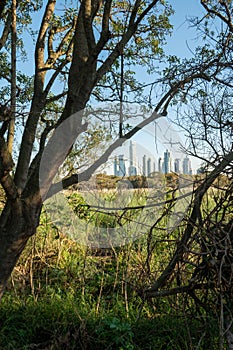 Sunny day in the Costanera Sur Ecological Reserve in Buenos Aires, capital of the Argentine Republic in 2023 photo