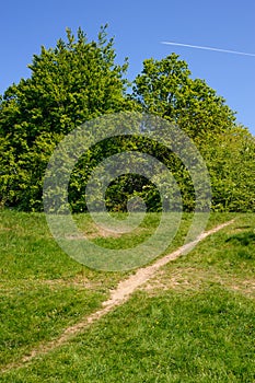 Sunny day in the country