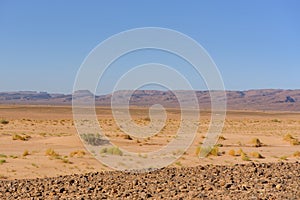 Dunes in the desert of Sahara, Morocco. photo