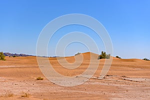 Dunes in the desert of Sahara, Morocco. photo