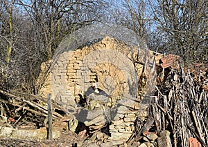 Sunny day in a farmyard with poultry