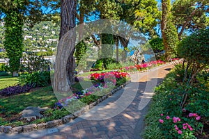 Sunny day at Giardini di Augusto gardens at Italian island Capri