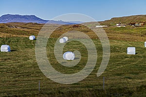 Sunny day Iceland rural scene