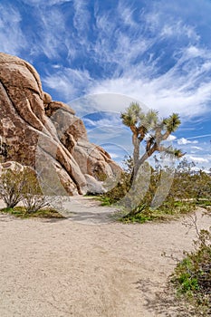 Sunny day in Joshus Tree California with rocks formations and Joshua trees